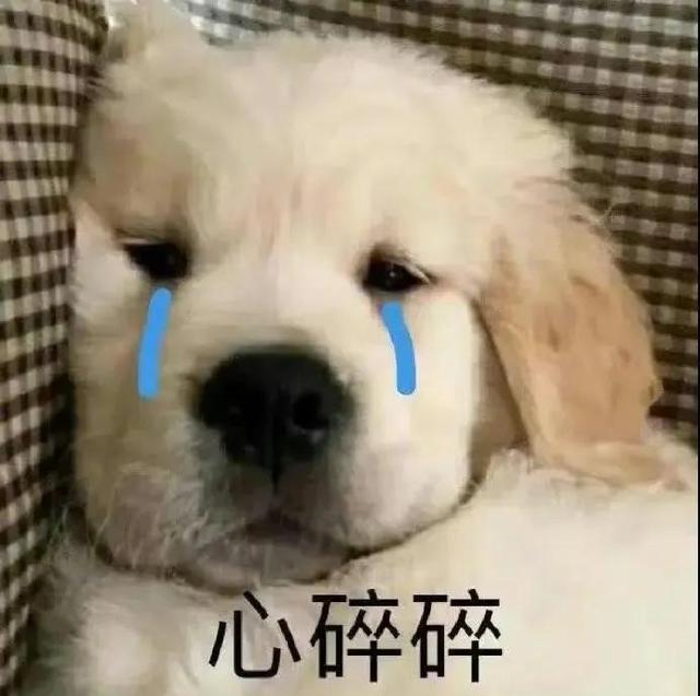 哼唧唧歪歪，微信头像，哼唧唧歪歪（猫猫狗狗表情包/哼哼）