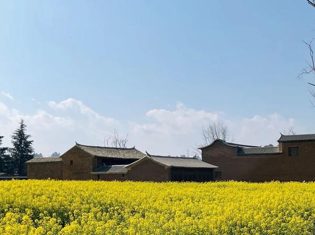 云南花海旅行记，春天，来云南与七彩花海相遇