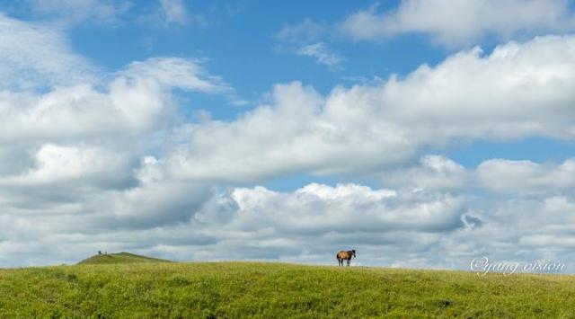上海以前属于哪个省，上海以前属于哪个省份的城市（我国主要省份得名的时间排行榜）