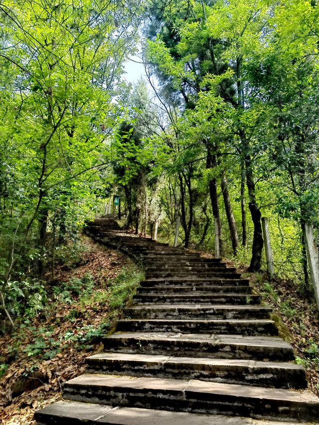 2020十一国庆四川旅游哪里好玩 国庆四川冷门自驾旅游景点推荐，2020十一国庆四川旅游哪里好玩（这三条线路不远还没门票）