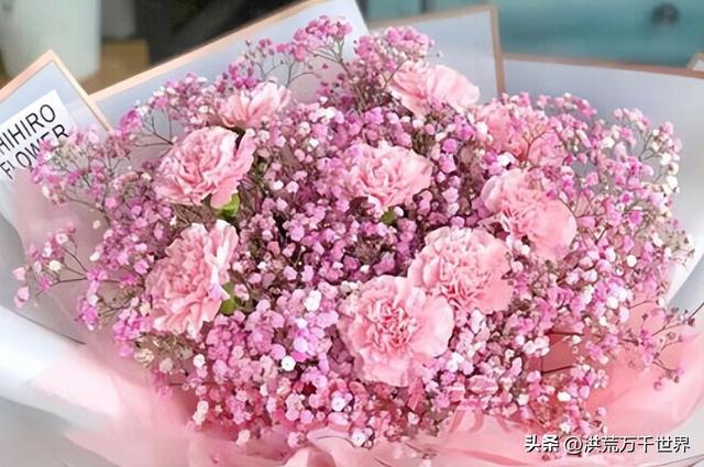 白杜鹃花语，白花杜鹃花语（300种花的寓意和花语）