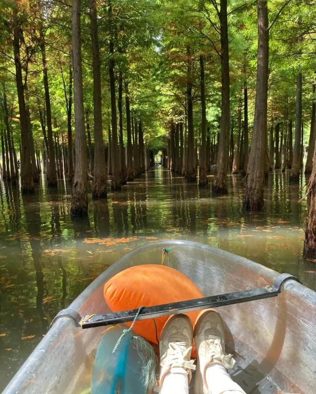 昆明一日游最佳景点一览表，昆明32个最适合一日游的免费景点（四季如春的昆明很适合旅游）