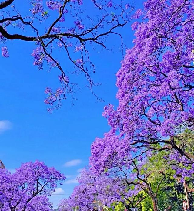 一组春天气息的美图,一组春天气息的美图大全(充满春天气息的美景图片