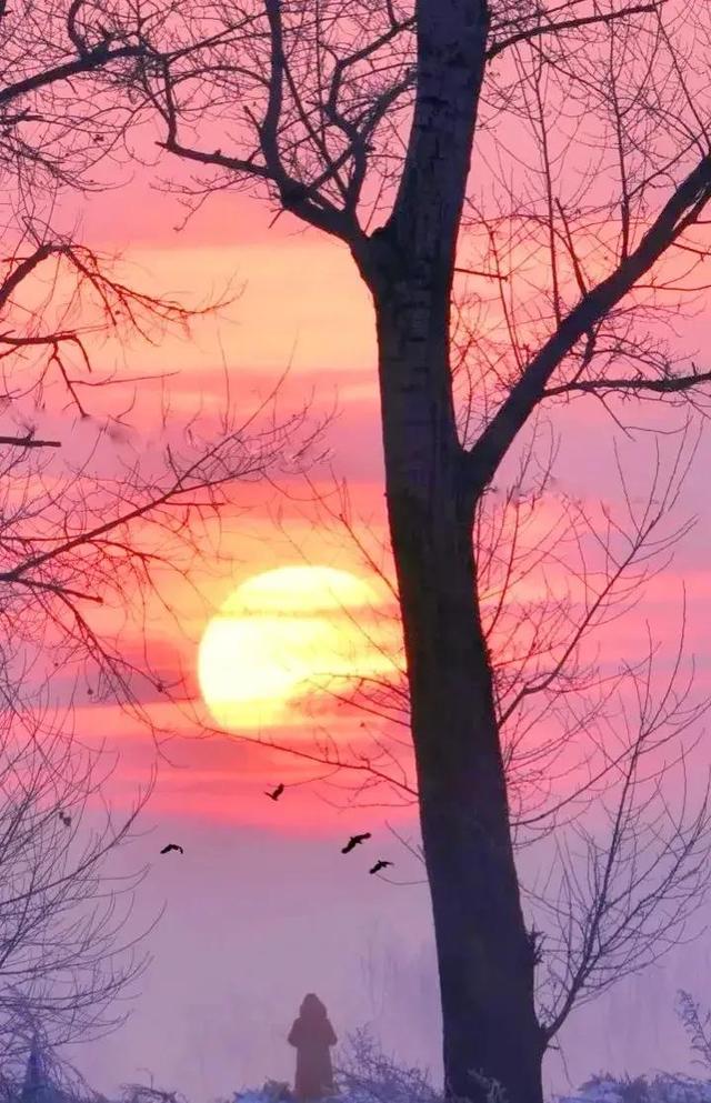 什么的美景，铺满金色巴掌的水泥道描写了什么（自然的美景，爱的诗篇）