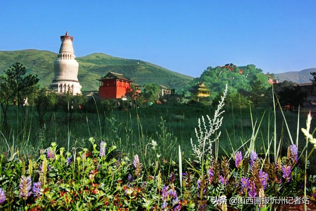 五台山门票多少钱，小五台山的门票是多少（五台山景区最新免票政策公布）