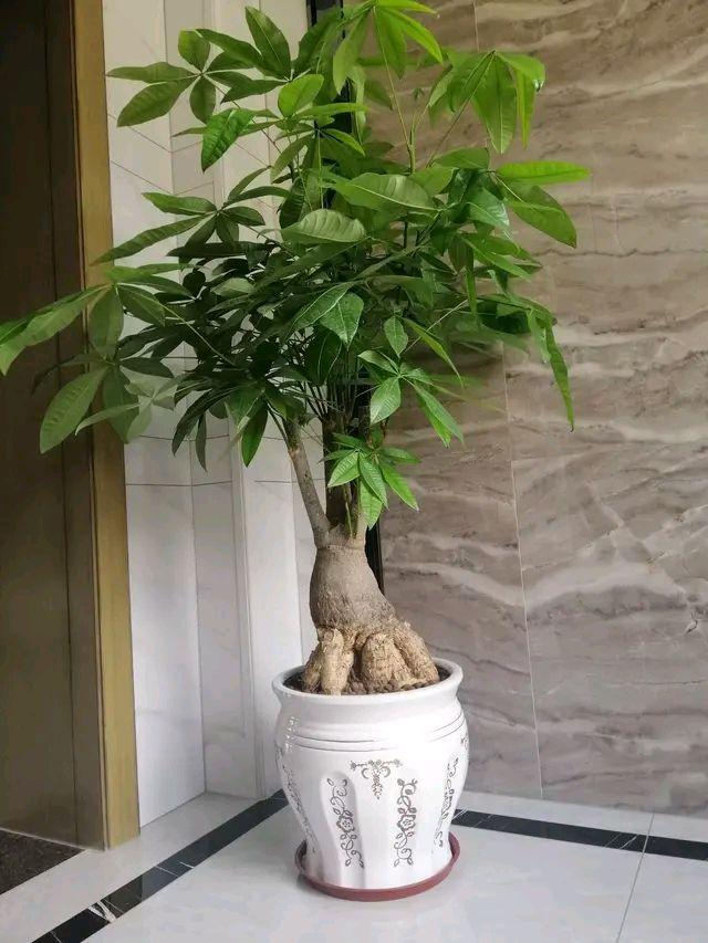 大气聚财的字(大气聚财的公司名称)