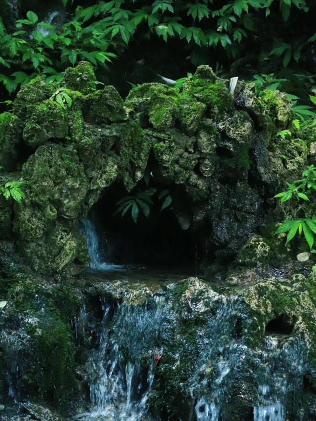 什邡市景点，什邡景点旅游景点（成都周边绝美“禁林”）