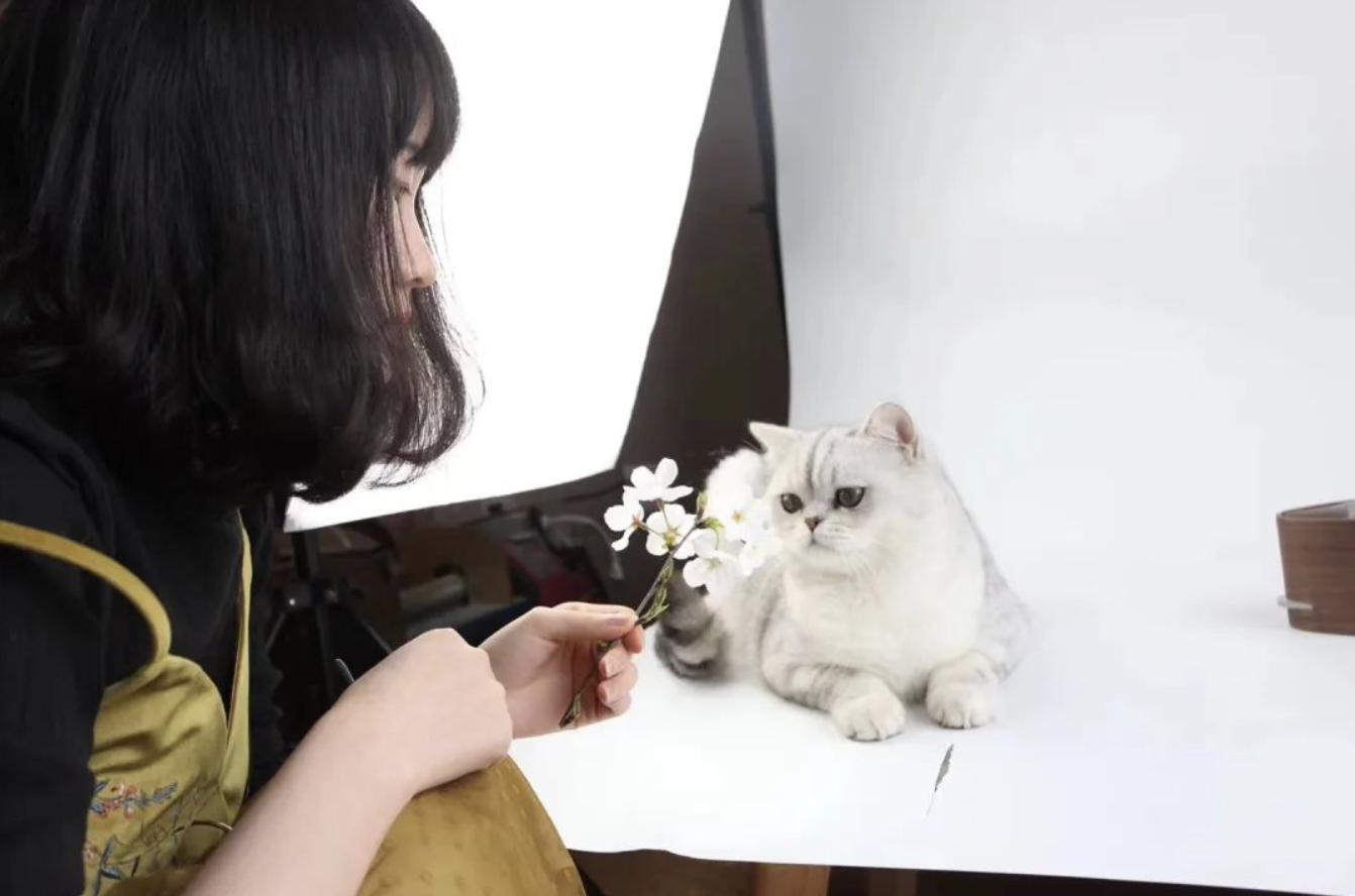 哪里有手工活(手工加盟)