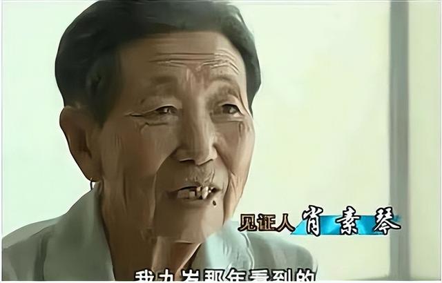 世界上真的有龙吗，世界上真的有龙吗真实视频（东北老人自称亲眼见过）
