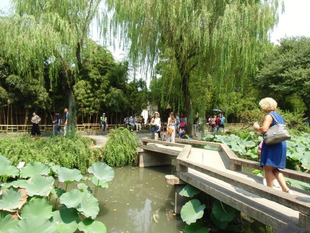 描述拙政园里的石舫，对拙政园的描写（金秋荷香——苏州拙政园<十>）