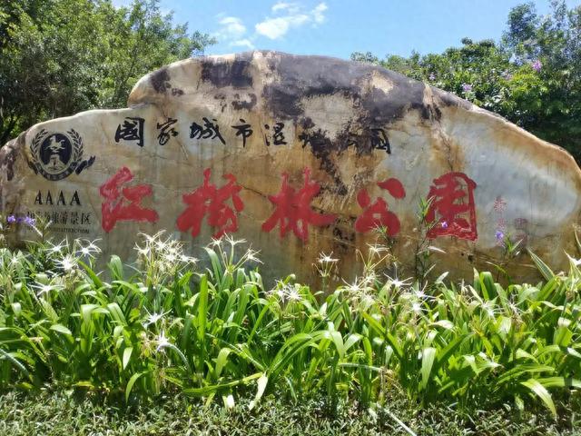 《惠州红树林公园游》