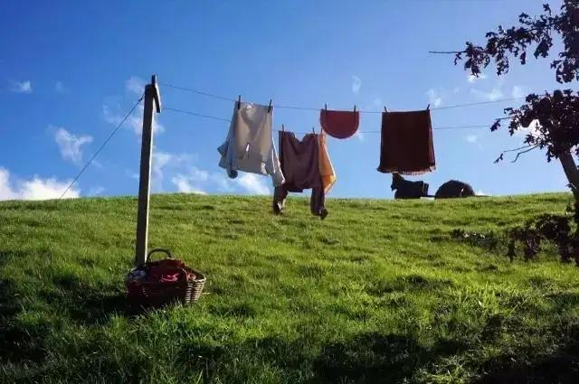 carrots是什么意思，carrots是什么意思英语（一年丢掉40%的食物）