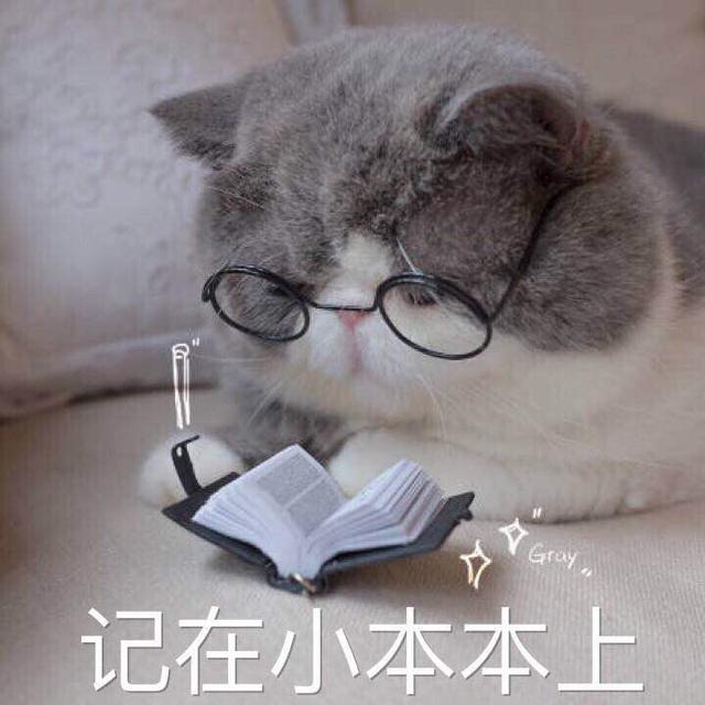 猫名怎么取比较旺主人，猫名怎么取比较旺主人叠字（冷知识：猫起名的“禁忌”）