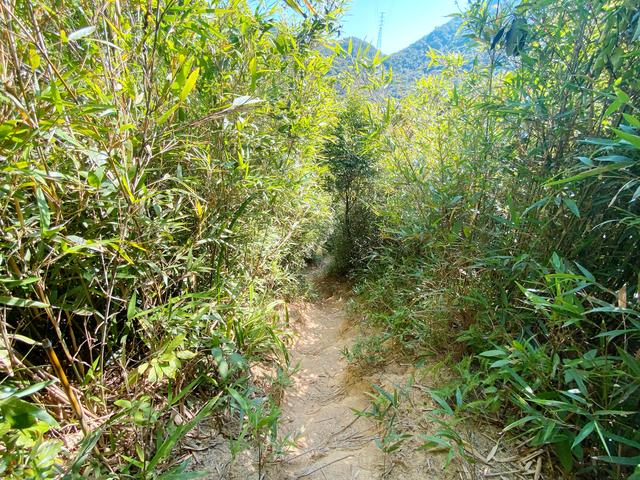 深圳七娘山登山攻略，深圳七娘山登山需要多长时间（相约深圳第二峰——七娘山）