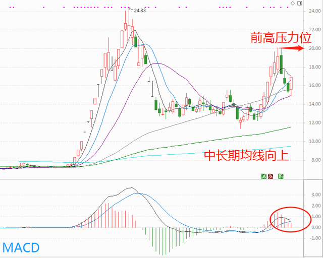 中药种植龙头上市公司,中药股票龙头股票（分享第二只首板中药龙头股）