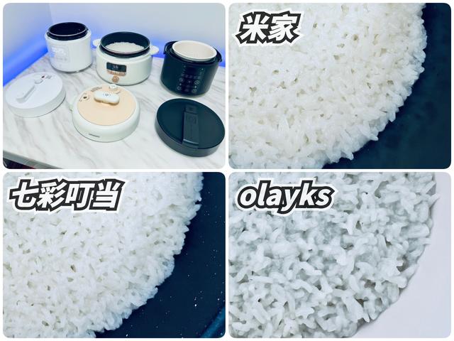 电压力锅炖排骨，电压力锅炖排骨做法（攻略+横评+实测）