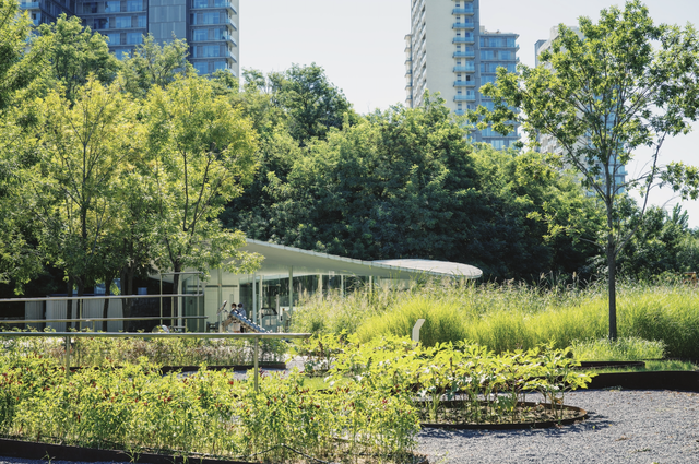 张震岳的《玩乐令》 歌词，张震岳的《玩乐令》（阿那亚，怎么住）