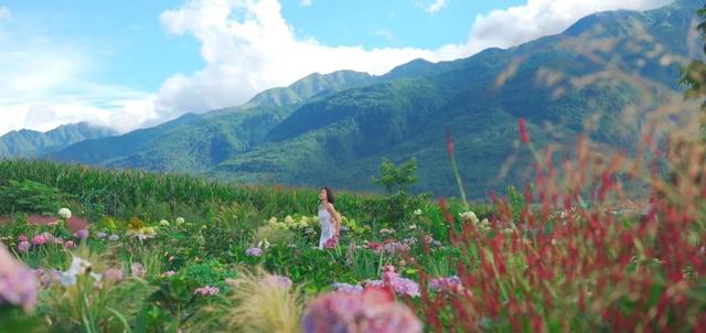 怎么形容一个女人优秀的句子，夸女人优秀的句子（让张含韵感动到落泪的女子）