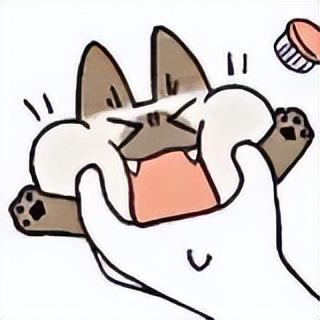 好看的表情包(10000种表情包图片大全)
