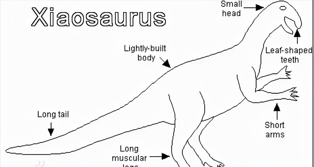 恐龙图片大全大图，画恐龙图片大全大图（画恐龙怎么画）