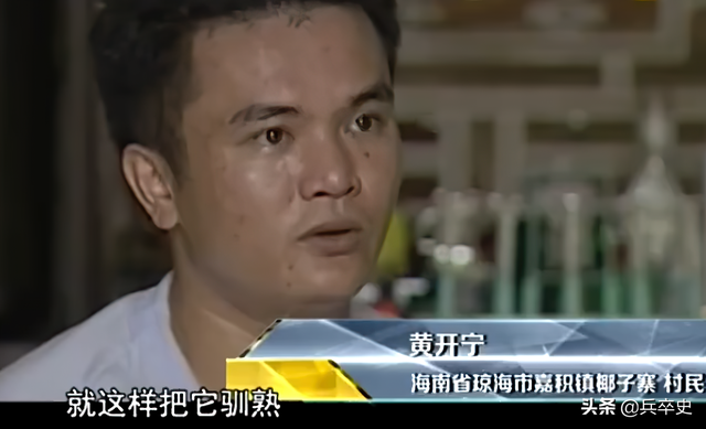 北京动物园百米巨蟒，太平洋底惊现百米巨蟒（海南巨蟒为报恩甘当“保镖”）