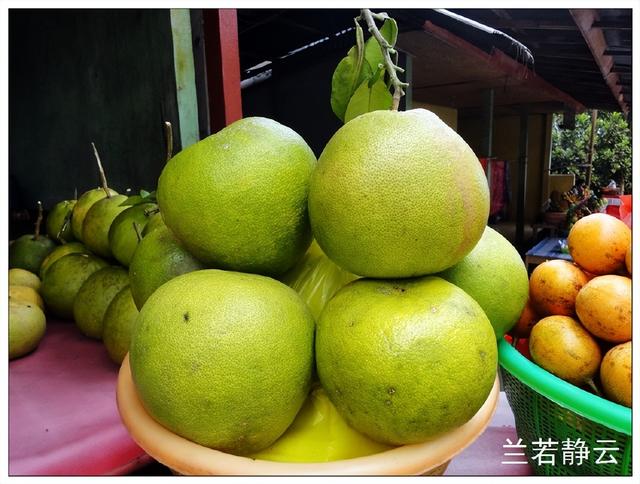 猫屎咖啡的价格，猫屎咖啡多少钱一杯（印尼巴厘岛旅游）