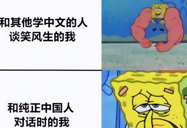 汉语难学为什么老外说汉语那么好，“梗图”用得恰到好处