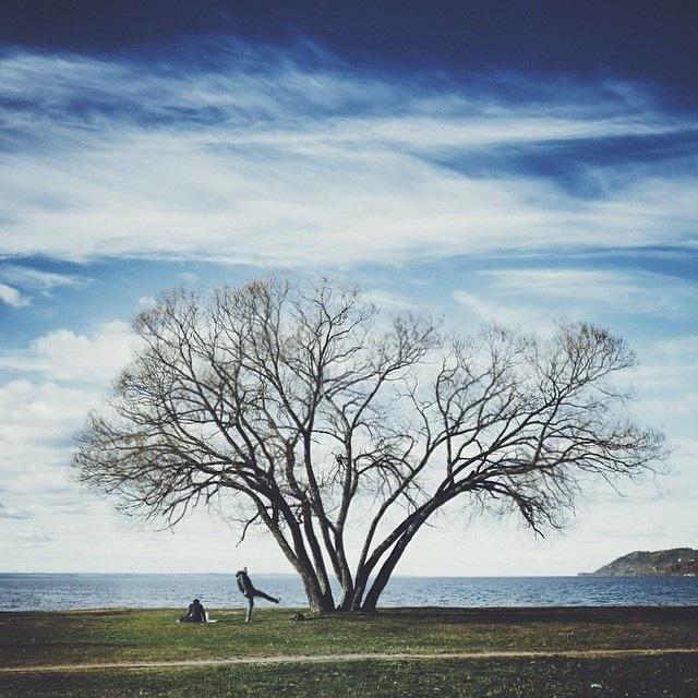 早安暖心话短句，早安暖心话短句图片（很温情很暖心的早安短句）