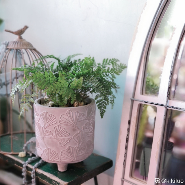 适合卧室养的花，卧室适合养什么花（卧室养4种花）