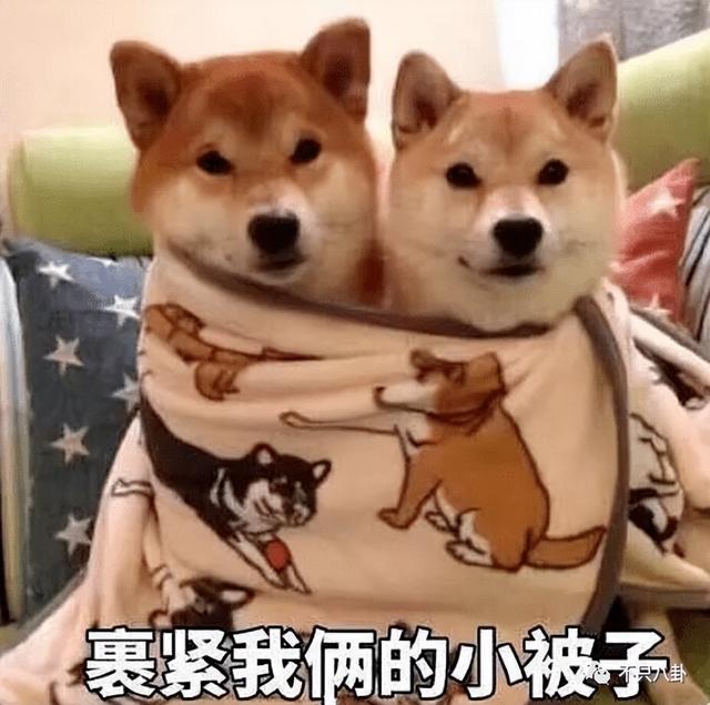 张天爱工作室微博，张天爱微博（张天爱微博之夜视频）