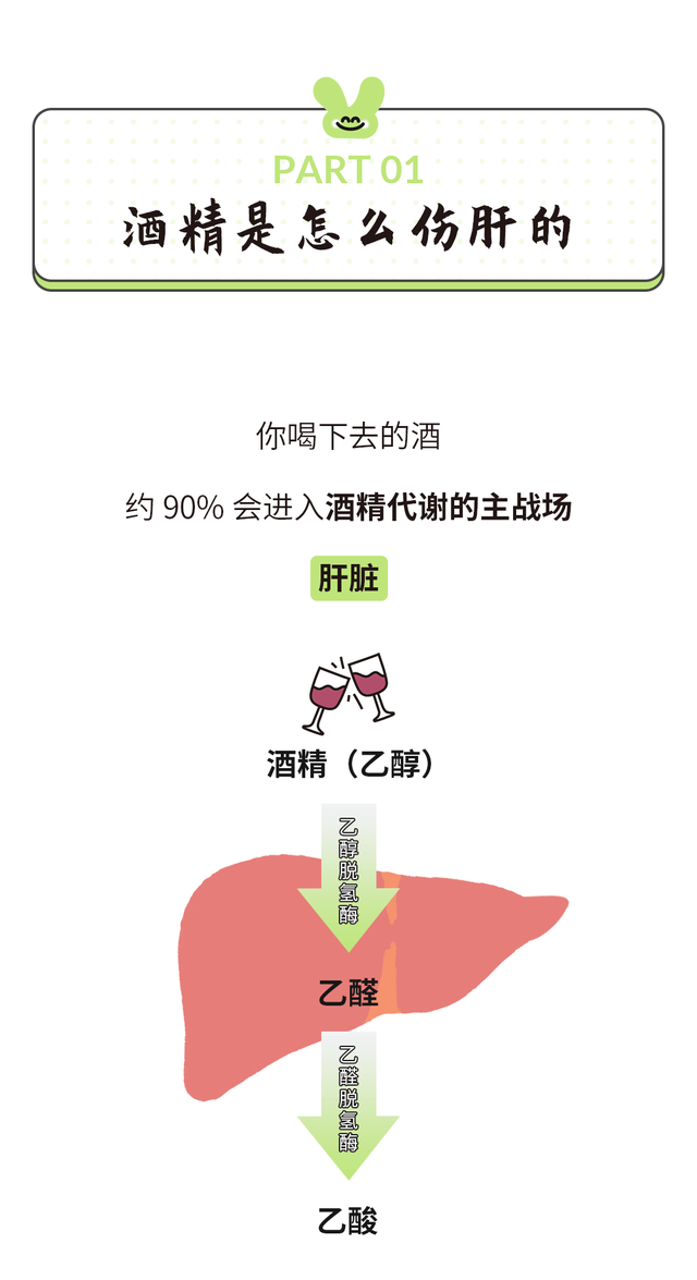 喝酒上脸是什么原因，喝酒上脸是怎么回事（喝酒上脸≠能喝）