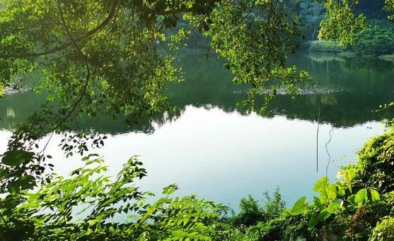 广州景点排行榜前十名，广州旅游景点排名前十（广州十大冷门景点）