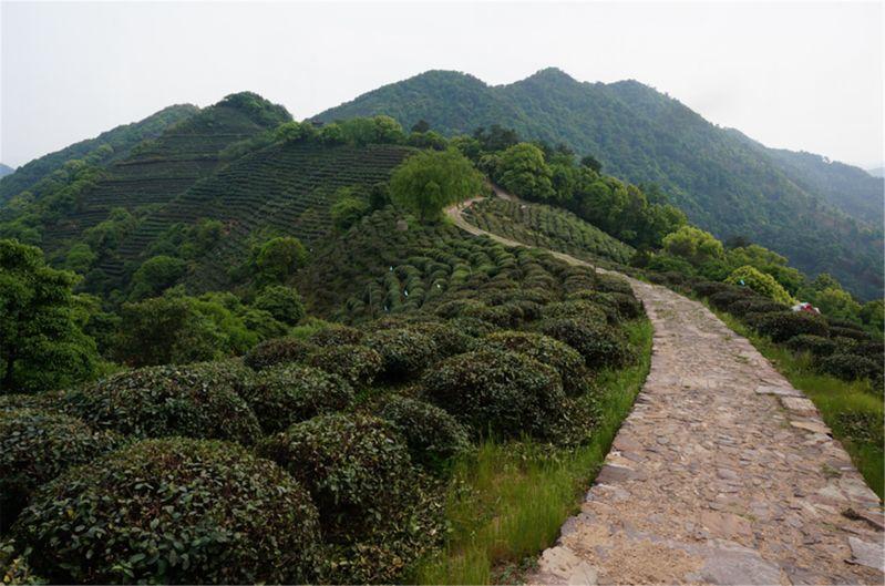 浙江旅游必去十大景点，人少景美好玩