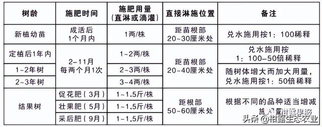 猕猴桃多少钱一斤，徐香猕猴桃苗价格多少钱一棵（地头价8~10元/斤的红心猕猴桃是否值得种植）