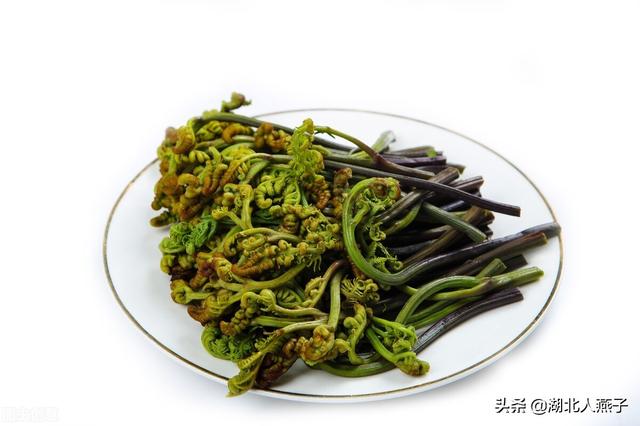 农村100种野菜图片，野菜的种类（常见的野菜图片与名字）