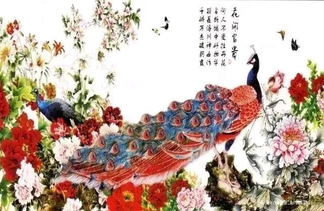 孔雀在风水中代表什么，孔雀寓意象征风水（招财引贵、镇宅兴旺）