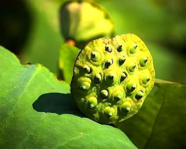 处处想打压你的人是什么心理，一个女人处处打压男人的心理（如此待你的人）