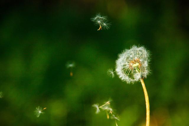 爱一个人的几大表现，爱一个人的十大表现（爱自己的10个表现）