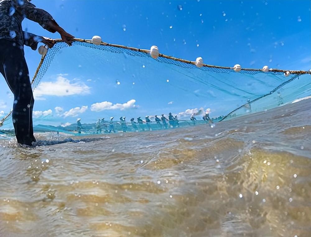海底捕鱼(深圳渔民在海里拉网捕鱼) - 去钓鱼