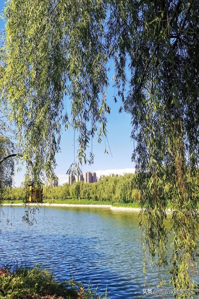 唯美图片清新简约 请允许我成为你的夏季，唯美图片清新简约头像（是时候给你点“颜色”看看了……）