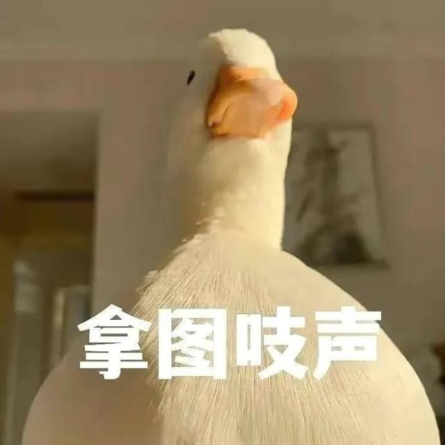 今天分享一个沙雕动态图