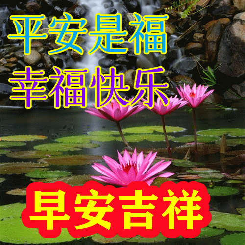 祝福全家的祝福语，2022年春节祝福语全家（直接群发家人朋友的早安祝福语精选大全）