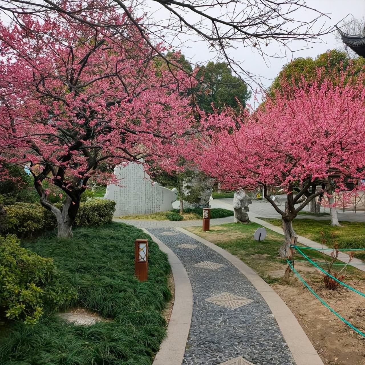 常州盐湖城旅游景点介绍，江苏常州最值得去的十三个景点