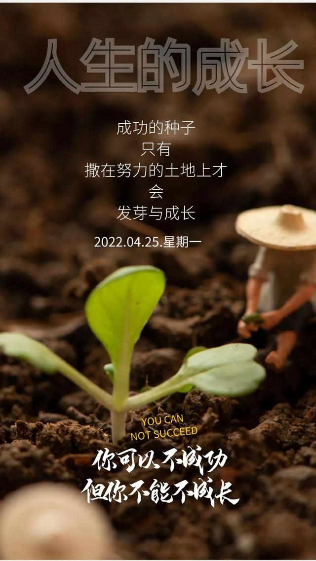 正能量早安问候语，简短正能量早安问候语（早安心语，正能量经典说说句子）