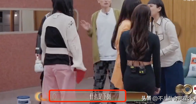 那英现在的状况，被批瞧不起下岗工人