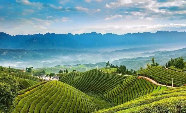 恩施适合几月去，恩施旅游什么时候最佳（夏天是非去恩施不可了）