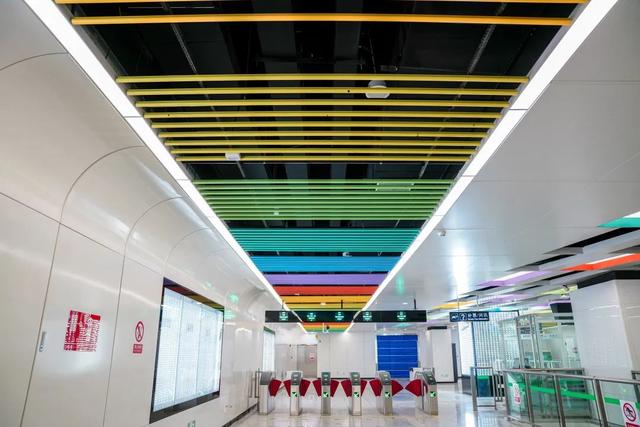 豹龟结石，昆明地铁5号线，首！发！见（肾结石会有啥症状）