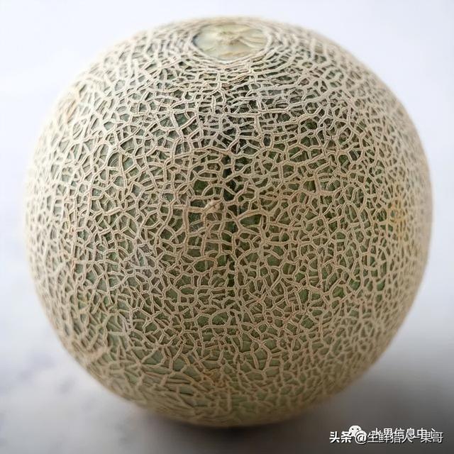 绿色的哈密瓜叫什么，绿色的哈密瓜叫什么名字（哈密瓜、蜜瓜、网纹瓜、香瓜、羊角蜜傻傻分不清）