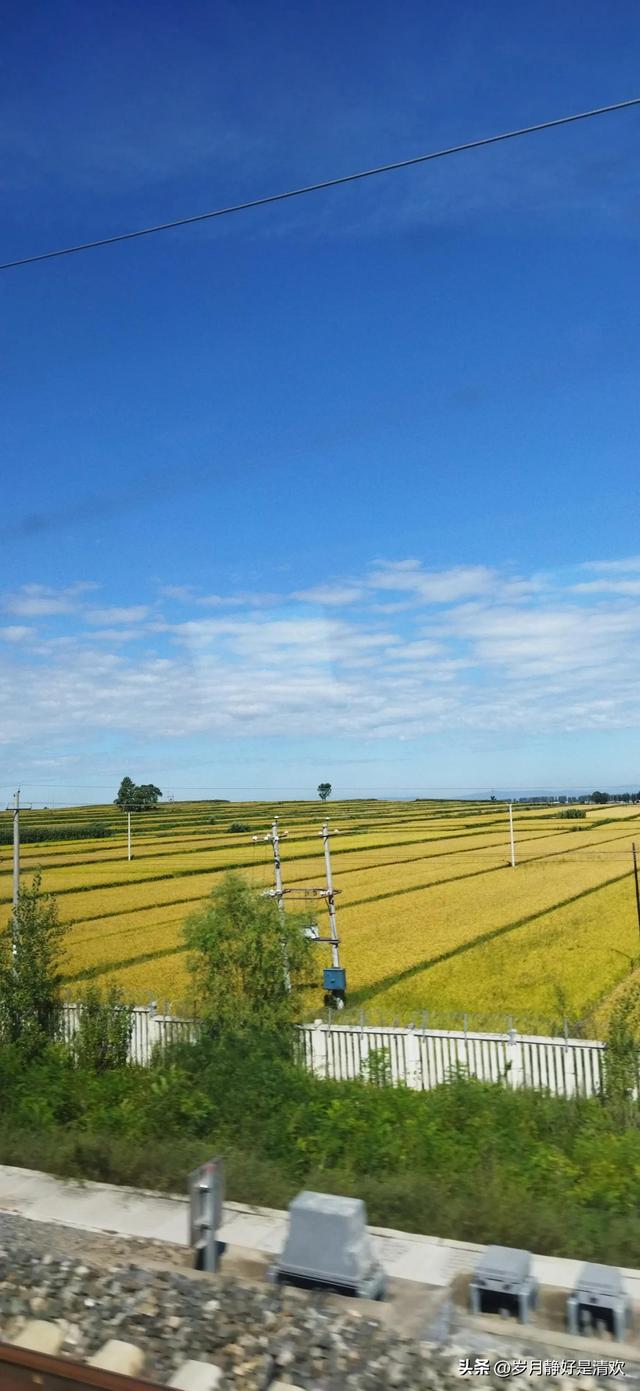 一家人的微信群名，一家人的微信群名有创意（一样的家长群，不一样的结局）