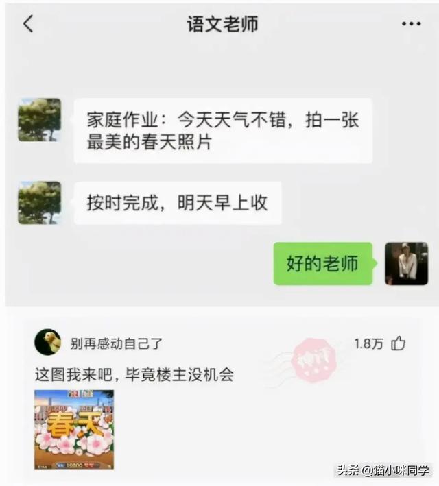 壁虎能长多大，为什么家里有壁虎一定要打死（“以为买了个壁虎）